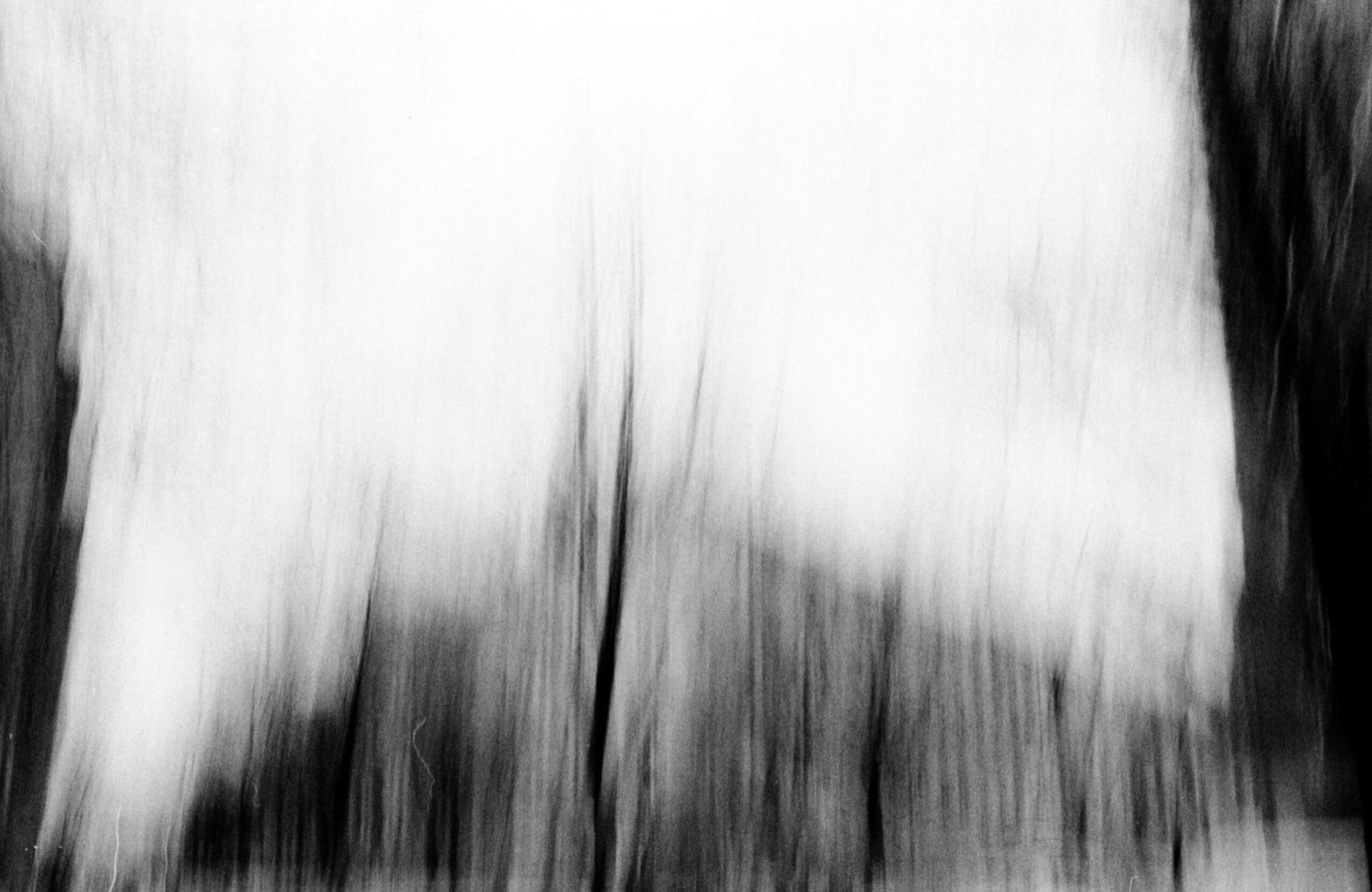 Abstract woodland movement